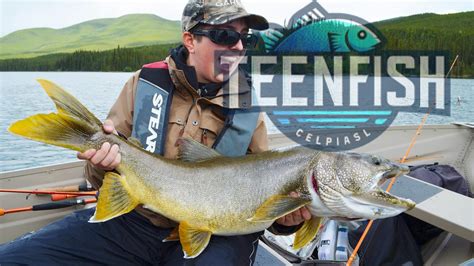 How to Get a Wyoming Fishing License in 2025.